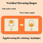 Äggförvaring för kylskåp – låda i två våningar
